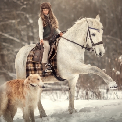 Фотосессия с лошадью летом, осенью, зимой