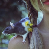 фотосессия с крысой