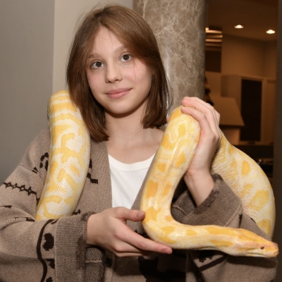 Змея, Питон, Удав