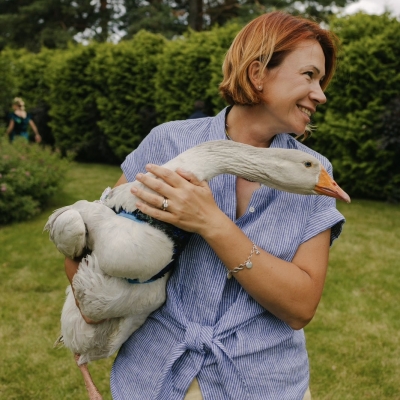 Гусенок, Гусь