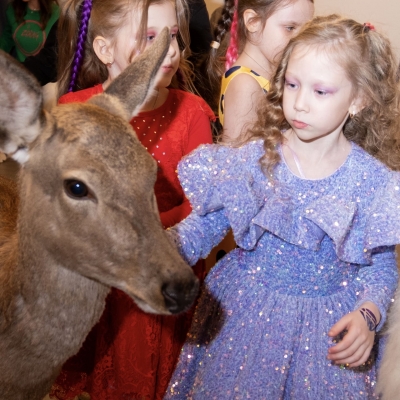 Олень, Олененок