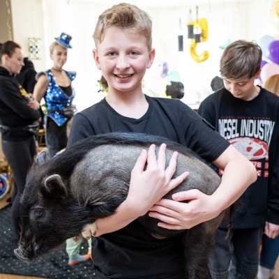 Пиг, свинка, кабан