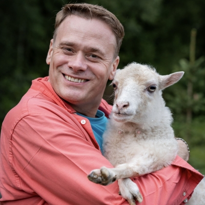 Баран, овца