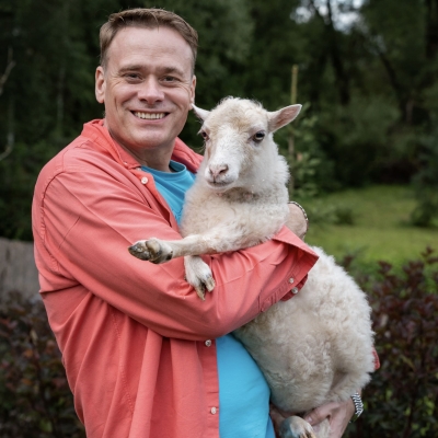 Баран, овца