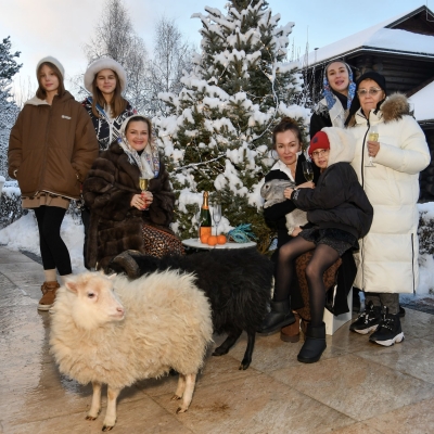 Баран, овца