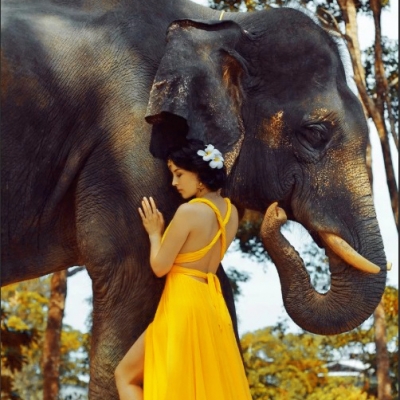 Фотосессия со слонами
