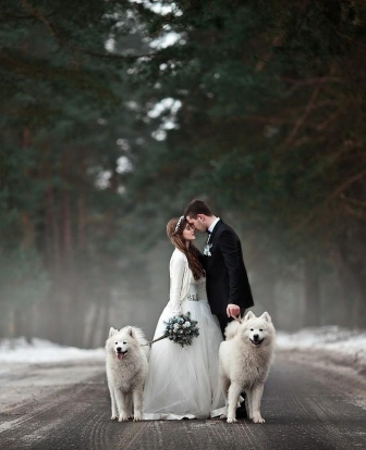 Свадебная фотосессия с собакой