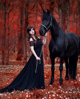 Фотосессия с черной, белой, рыжей лошадью